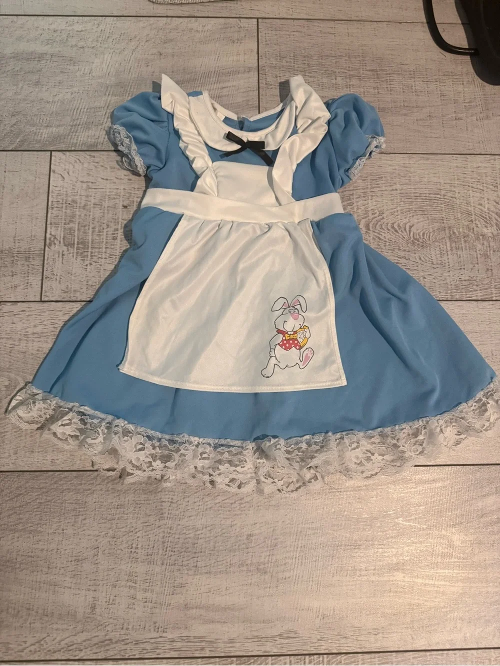 California Costume Alice in Wonderland Dress Costume 3T 4T